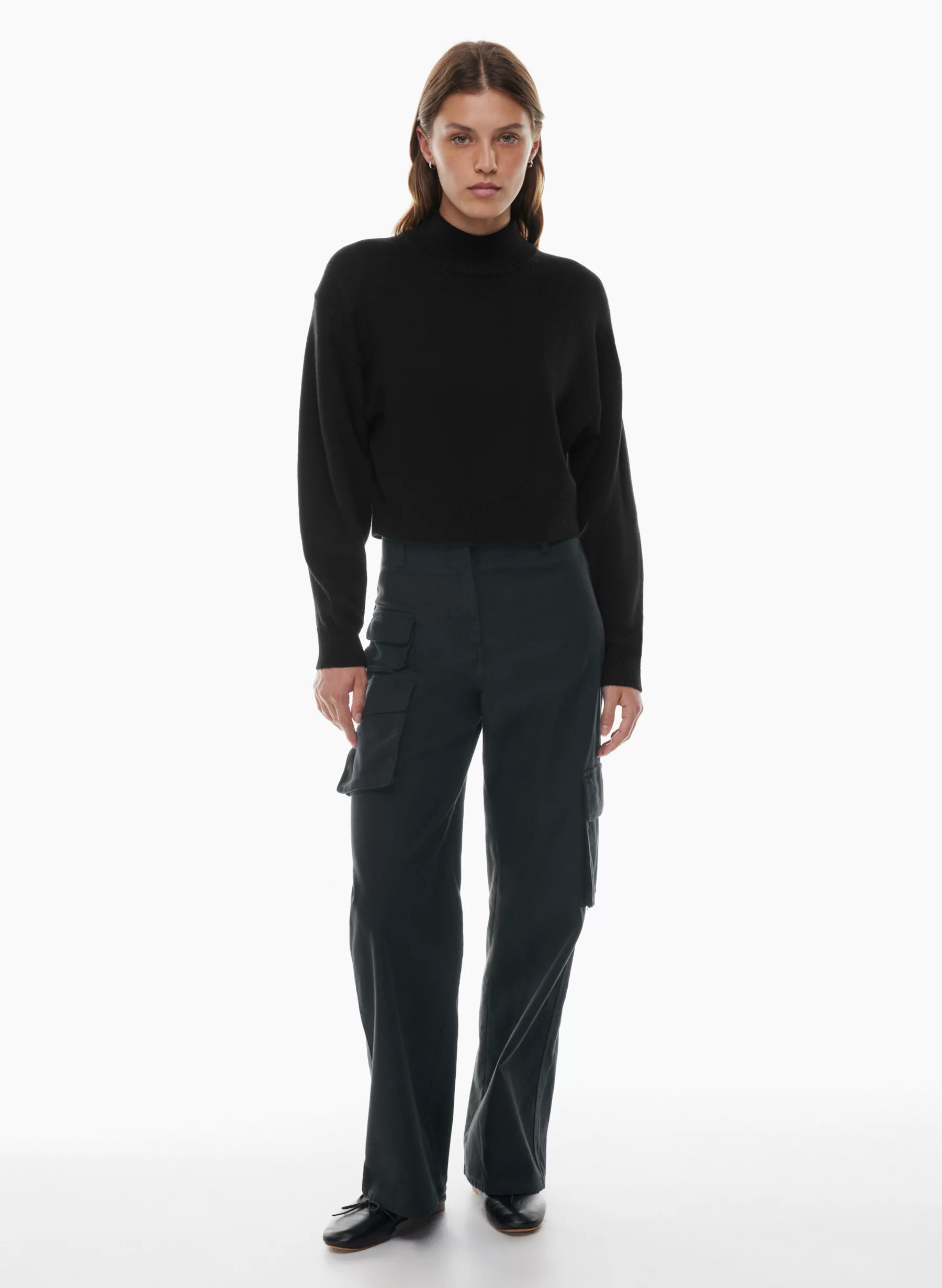 PICTURE CARGO PANT | Aritzia