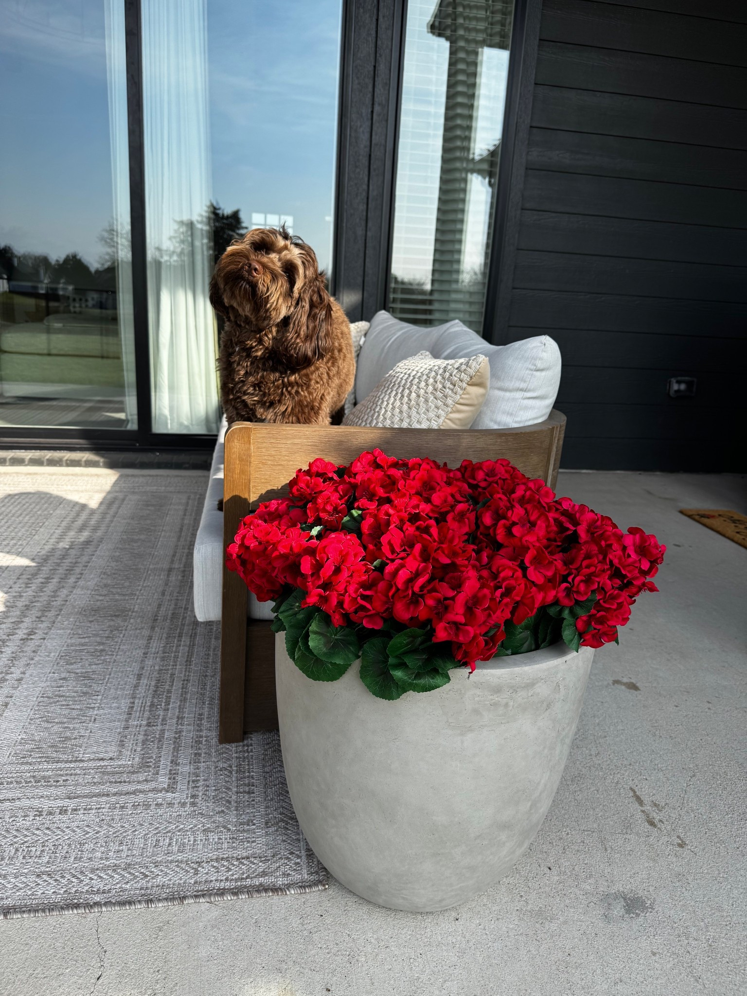 These faux geranium flowers are stunning! Perfect for holidays or year round.  

#LTKHoliday