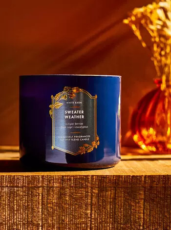 Sweater Weather


3-Wick Candle | Bath & Body Works