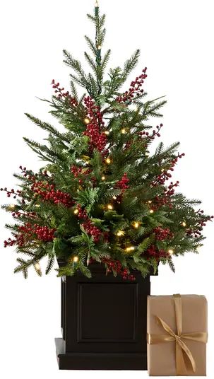 Balsam Hill Outdoor Red Berry Evergreen Pre-Lit Artificial Potted Tree | Nordstrom | Nordstrom