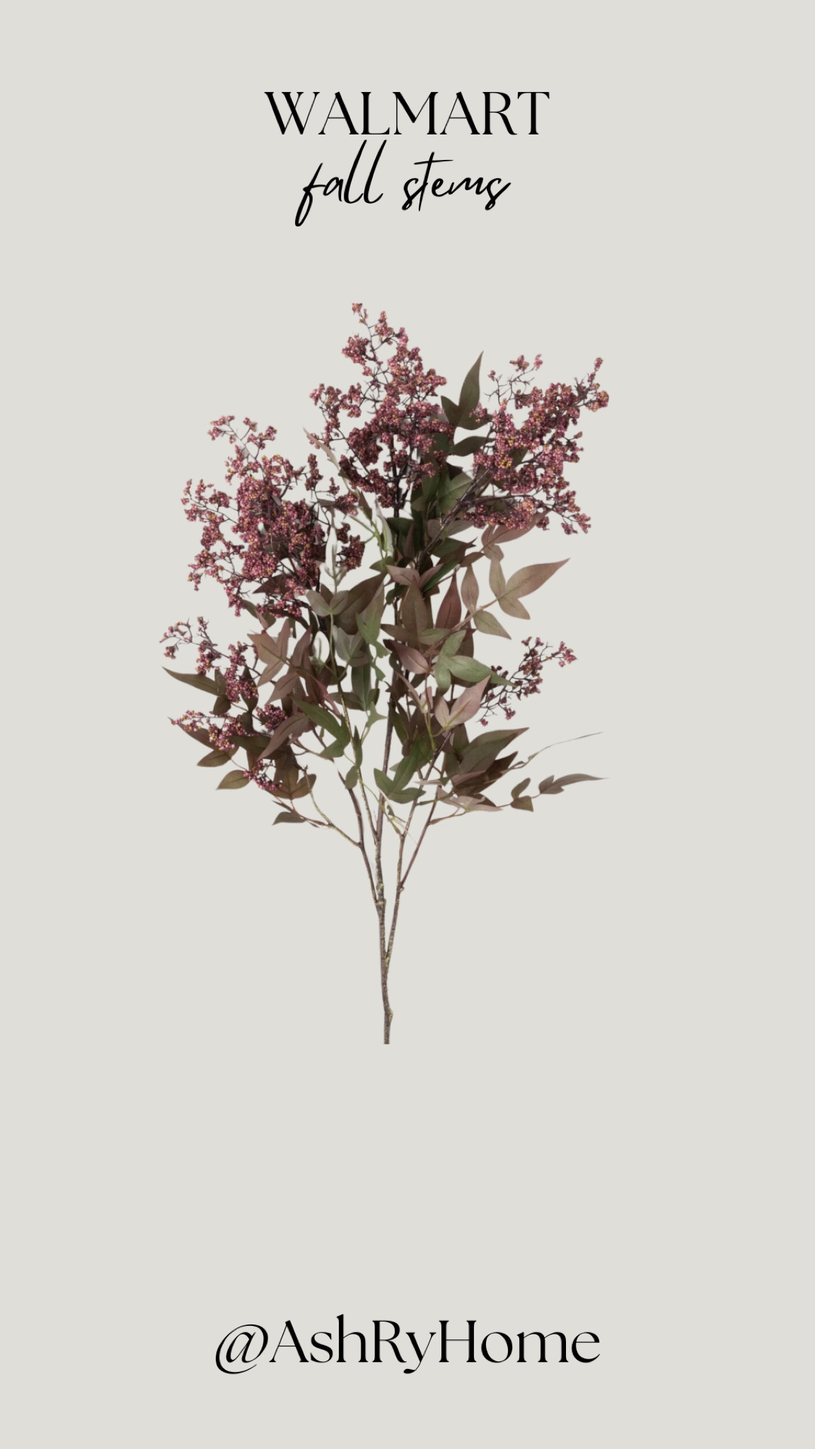 These gorgeous Dusty Plum-Colored Berry Bush stems are one of my favorites this year. So gorgeous🍂

#LTKSaleAlert #LTKSeasonal #LTKHome