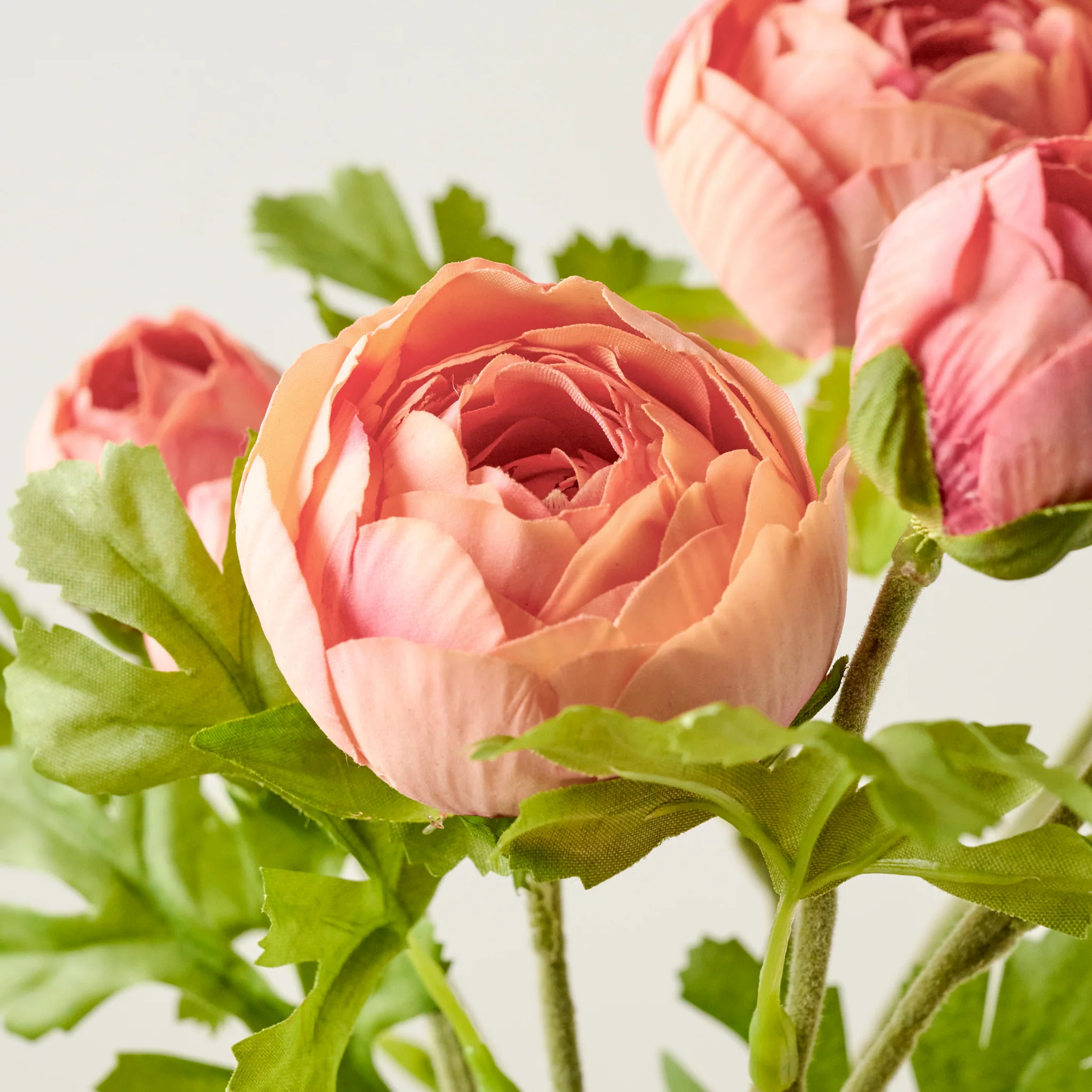 Real Touch Ranunculus Stem | Magnolia