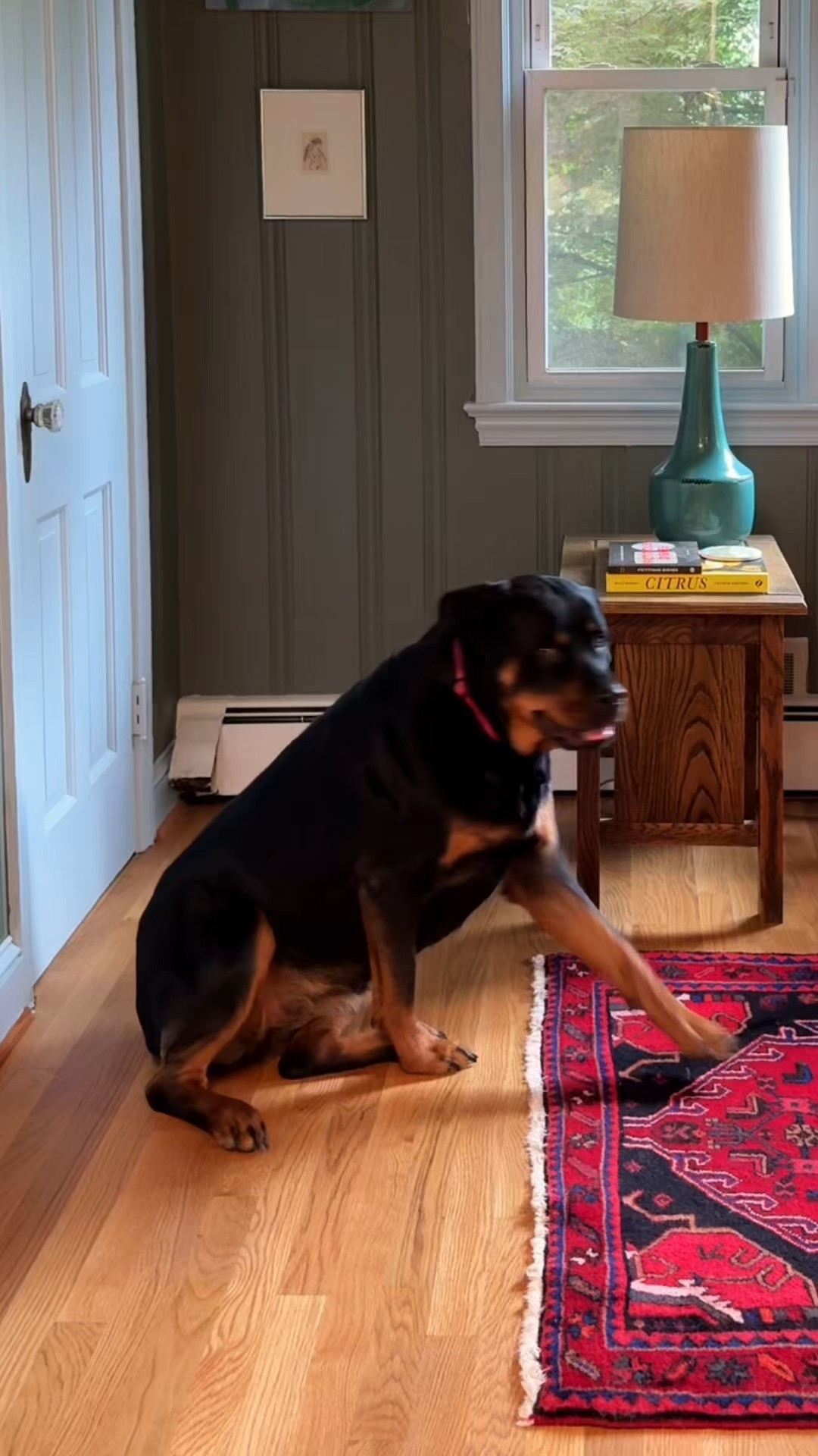 Everything I spent on my latest DIY project! 

#LTKHome