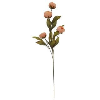 Coral Dry Peony Stem by Ashland® | Michaels Stores