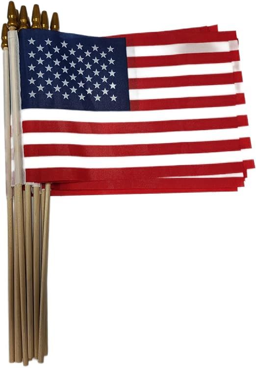 PETDDE Small American Flags 5x8 Inch,10 pcs, Small US Flags, Mini American Flag on Stick, America... | Amazon (US)