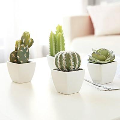 MyGift Set of 4 Artificial Mini Succulent & Cactus Plants in White Cube-Shaped Pots | Amazon (US)
