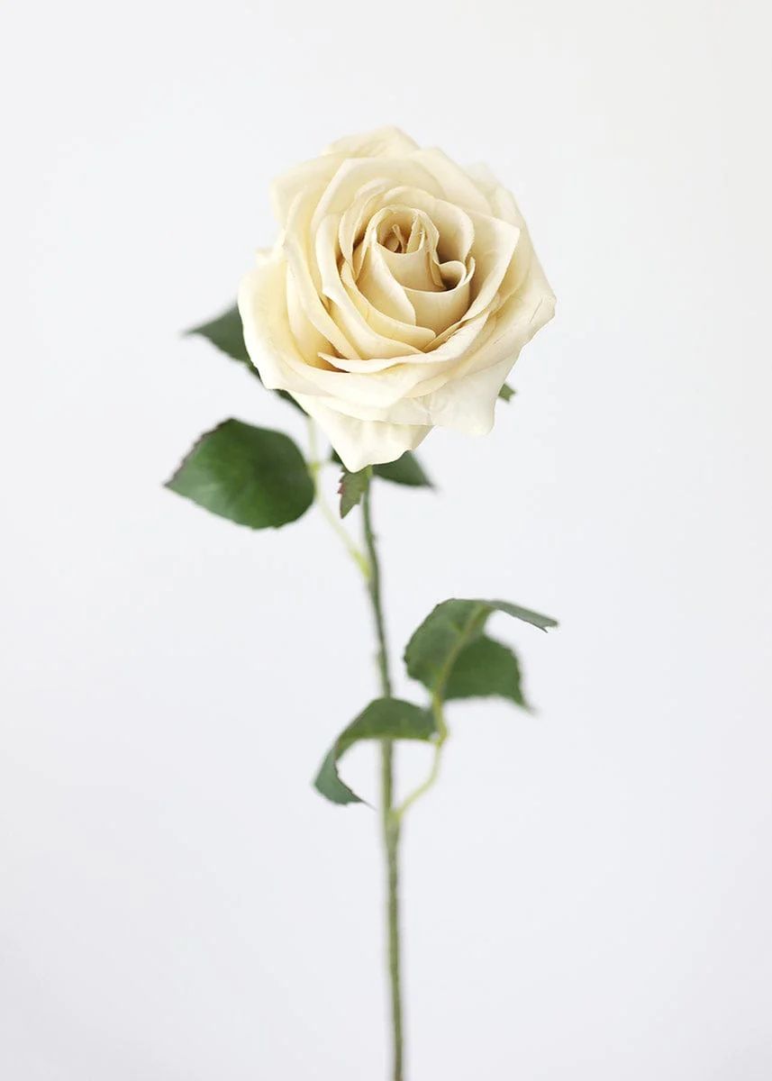 Fake Roses in Eggshell Cream | Artificial Fall Flowers | Afloral.com | Afloral