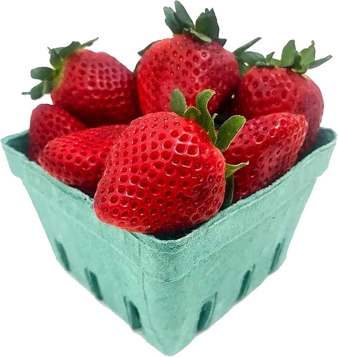 Quart Green Fiber Fruit/Berry Basket Container (25 Pack) for Strawberry Blueberries Tomatoes and ... | Amazon (US)