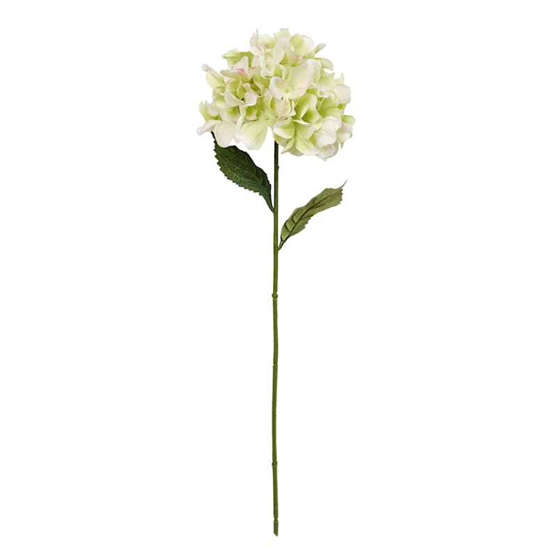 Green Hydrangea Stem, 27" | At Home