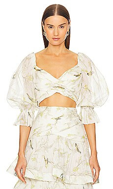 Pleated Bodice
                    
                    Zimmermann | Revolve Clothing (Global)