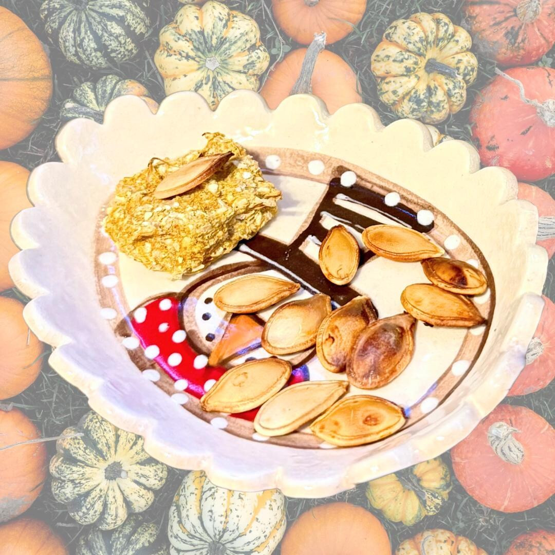 Pumpkin Calcium Cookies for Hermit Crabs, Natural Treat for Hermit Crabs, Organic Pumpkin Treat f... | Etsy (US)