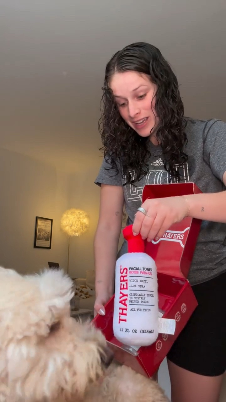 THERE IS NO WAY!! 😭🐶🦴 

#girls #puppy #goldendoodle #biscuit #thayers #skincare #puppystagram