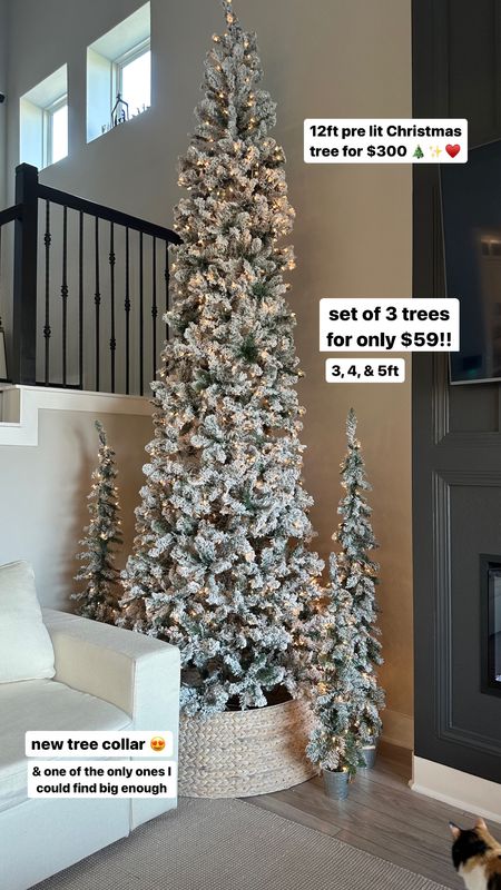 Our Christmas tree corner is finally complete! 12ft Christmas tree for such a good price and this set of 3 trees for only $59 is the best price I’ve seen anywhere

#LTKSeasonal #LTKHoliday #LTKhome