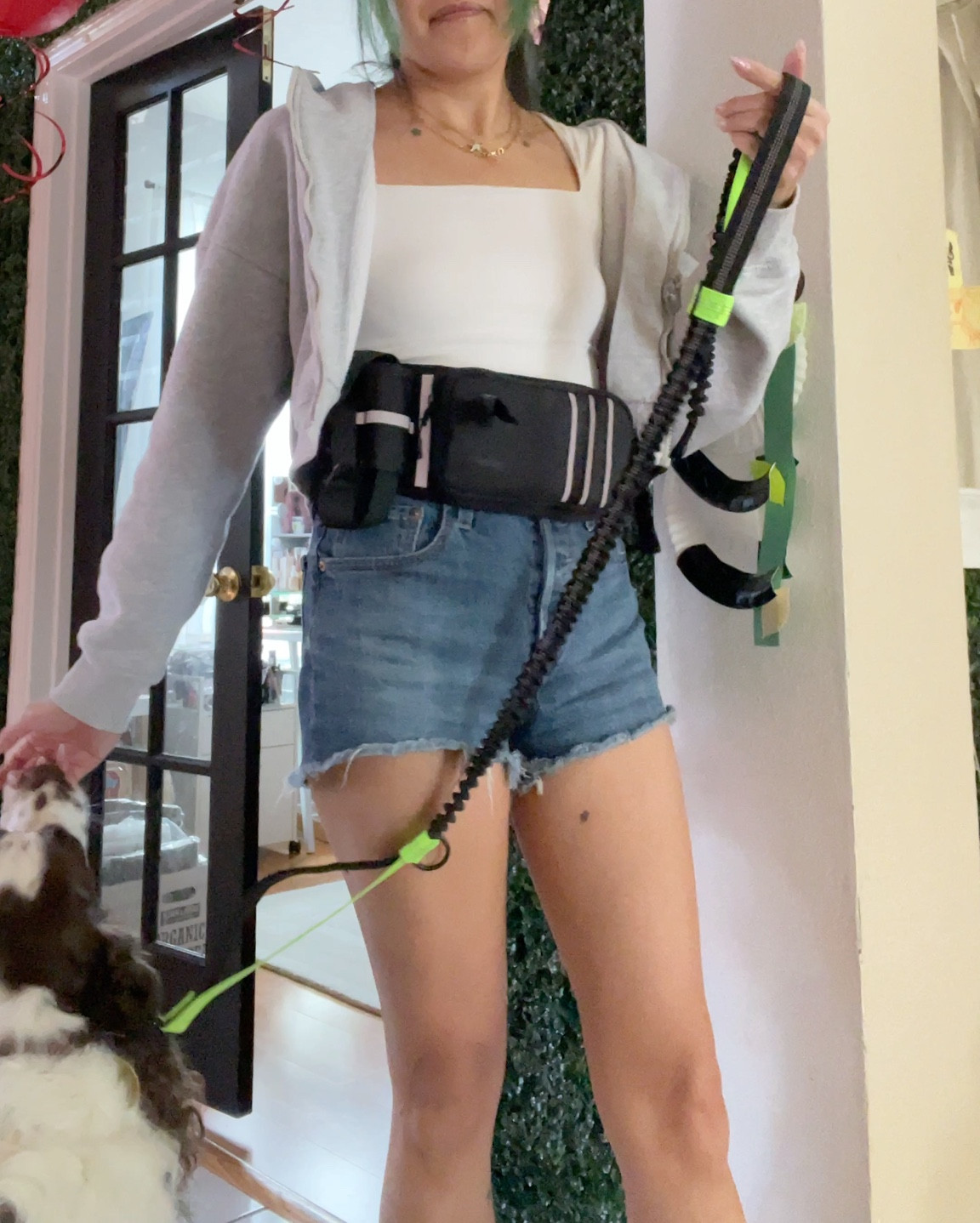 I enjoy my walks hands-free so I walk the dog with a special pack that goes around my waist so I’m free to hold my coffee or pick up doggy doo-doo (there’s a special bag dispenser pouch for that!). There are zipper pouches for dog treats to reward good behavior on walks, and another one that you could use for keys or a phone. I like that there’s a couple grab handles along the leash too so I can keep him close when needed. 

Hank get SO excited when I grab the dog walking bag! Dog walking belt

#LTKFindsUnder50 #LTKTravel #LTKPets