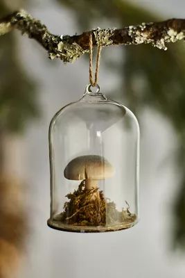 Forest Mushroom Cloche Ornament | Anthropologie (US)