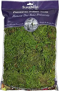 SuperMoss (25322) Forest Moss Preserved, Fresh Green, 8oz | Amazon (US)