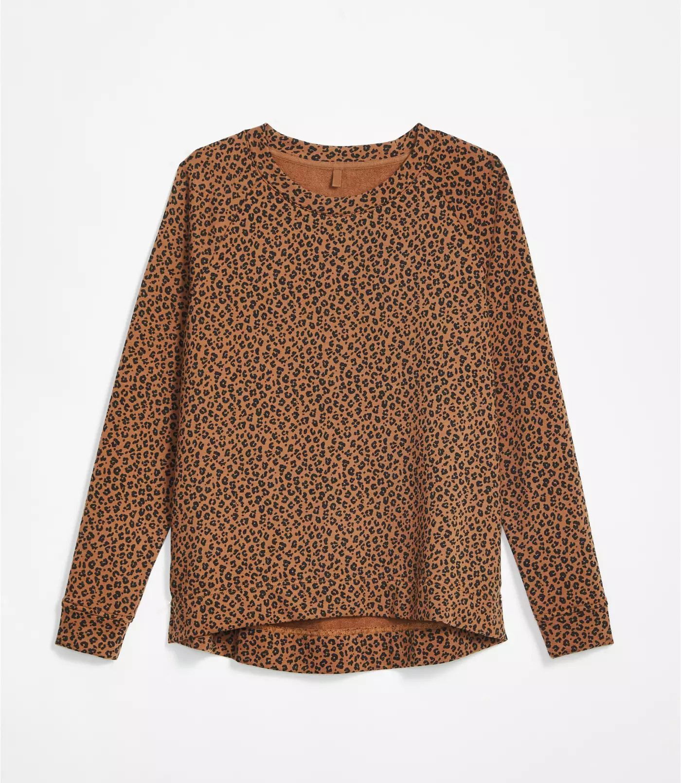 Lou & Grey Leopard Print Terry Sweatshirt | LOFT | LOFT