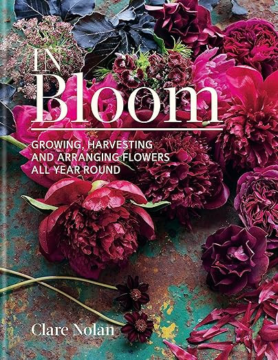In Bloom | Amazon (US)