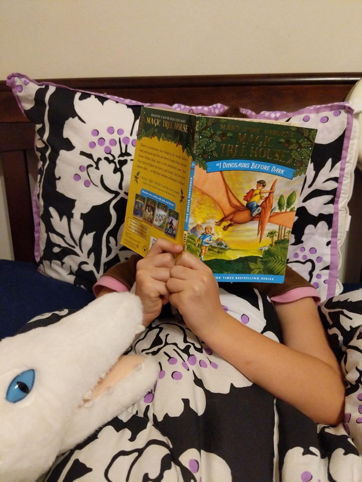 Dinosaurs Before Dark (Magic Tree House, No. 1) | Amazon (US)