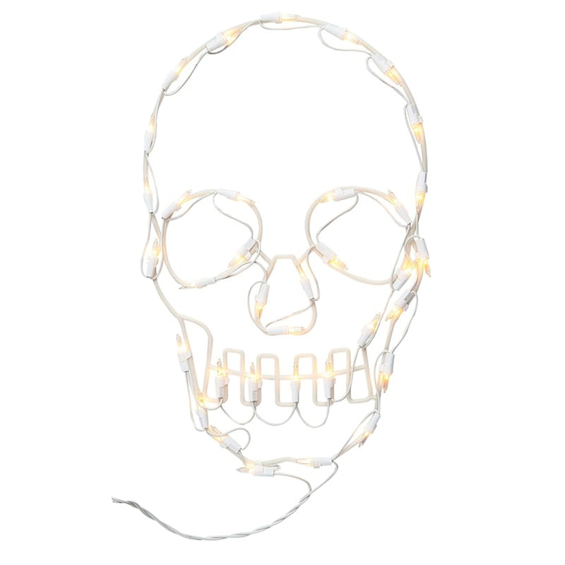 LED Plastic Frame Skull, 10x16 | At Home