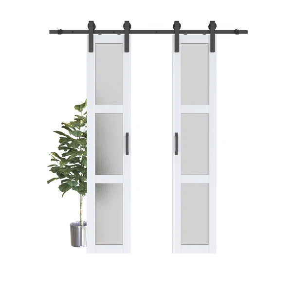 Double Sliding Glass Barn Door with Installation Hardware Kit | Wayfair Professional