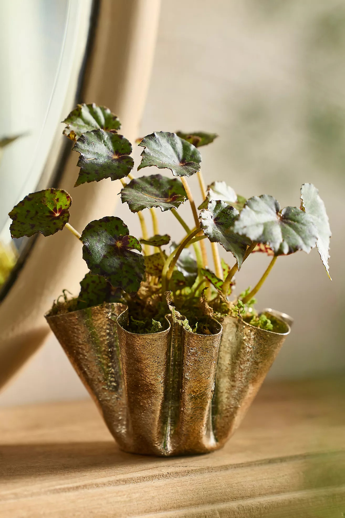 Golden Handkerchief Planter, Small | Anthropologie (US)
