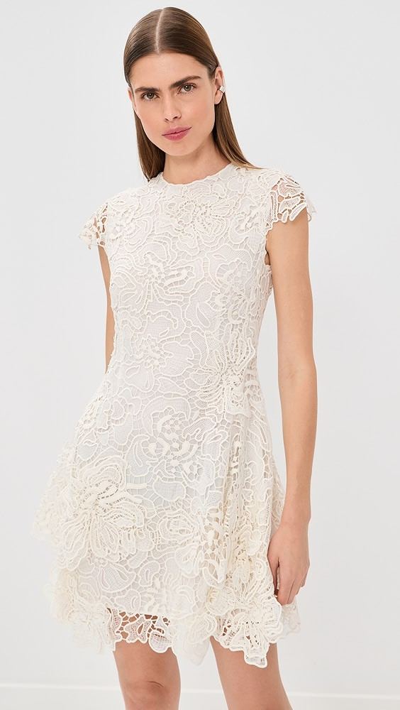 Novelle Lace Mini Dress | Shopbop