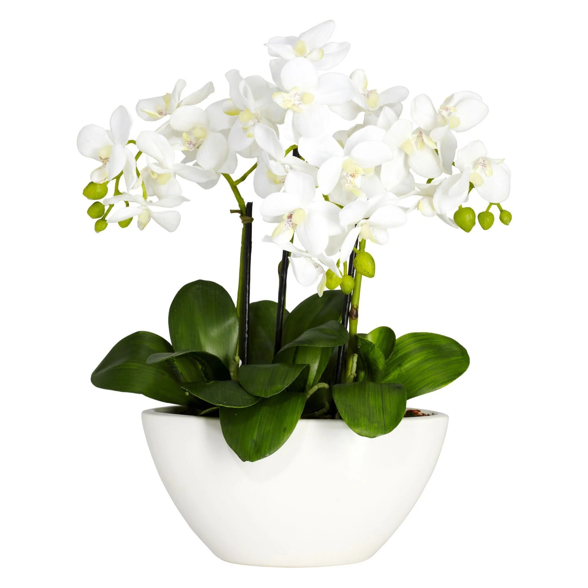 Phalaenopsis Silk Flower Arrangement | Nearly Natural | Nearly Natural