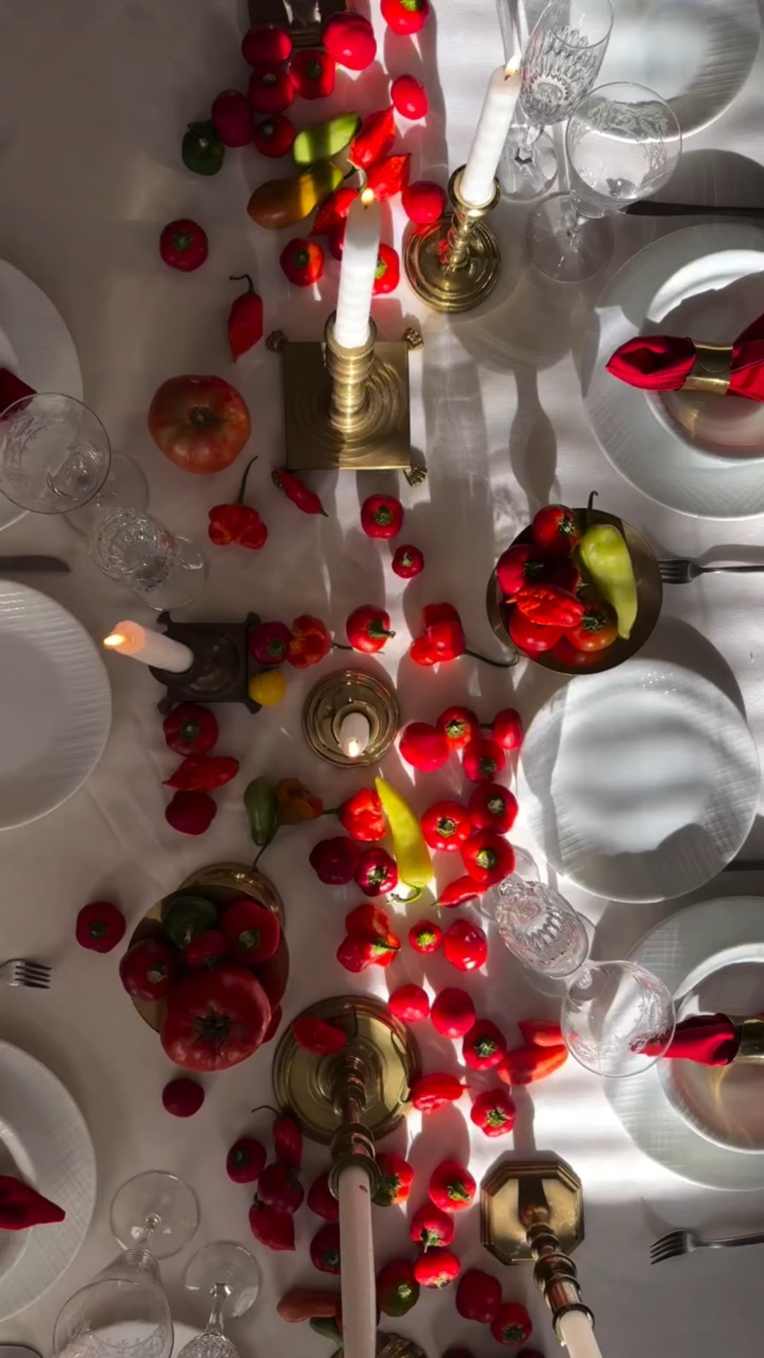 FIVE YEARS OF LUCID LADYBUG ✨

Year in Review Highlights
 
* Worked with 13 amazing couples (NJ, NYC, PA, GA, MD) 
* Published 31 Blog Posts
* Shipped over 175 Vintage Treasure Orders
* Our Wedding was Published by Philly Magazine @philawedding 
* Celebrated our First Editorial Feature in Westchester/Hudson Valley NY Weddings as Author + Photographer! @whvweddings 
* Created Content for @theraspecs, Marriott Hotel @philadelphiamarriott_oldcity + Spring NYBFW @onefinedaybridalmarket 
* Web Design, SMM + Content Creation for Sauvy B @_sauvyb_ 
* Hosted Fall Farm, Winter Holiday, Valentine’s, Spring Picnics + Summer Beach Photo Sessions
* Our Ash Tray Collection Premiered at Releaf Dispensary @releafcannanj 
* We popped up at @clovermarket + Princeton Artists’ Chalet @artscouncilofprinceton 
* Selected as a Rising Entrepreneur for Google x Wix Event @google 
* Selected for @wix Accelerator Program + @ltk.creators Accelerator Program
* Freelanced for Flora + Dean @floraanddean - NY Boutique Floral Studio
* Freelanced for Hey Sunshine Floral @heysunshinefloral - NJ Wedding Florist

“lucid ladybug started out of my closet in 2020 selling three vintage treasures a week on instagram. It is now my full-time job as a Creative Director to work alongside dream brands and couples in NYC + NJ.

The heart of lucid ladybug is sustainability, locality, and intentionality. 
 
I rescue vintage treasures from markets, estate sales, and thrift shops, and works directly with local small businesses. I exclusively repurpose, reuse, and up cycle for each creative project i touch. From photoshoots to dinner parties, events and weddings, lucid ladybug is sparking conscious conversations and elevating moments, one vintage treasure at a time.”  #creativedirector #anniversary #entrepreneur #smallbusiness #womenownedsmallbusiness #vintagestylist