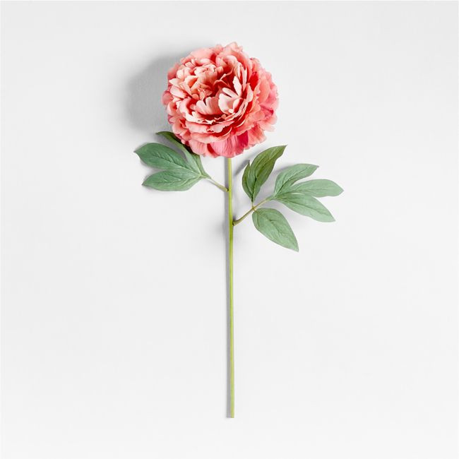 Faux Pink Peony Stem 24"" by Abigail Ahern | Crate & Barrel