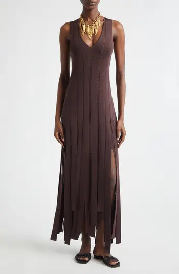 Kindred Spirit Luna Fringe Pointelle Rib Sweater Dress | Nordstrom