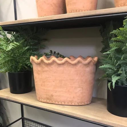 Gracie Oaks Fuzail Scalloped Pot Planter | Wayfair North America