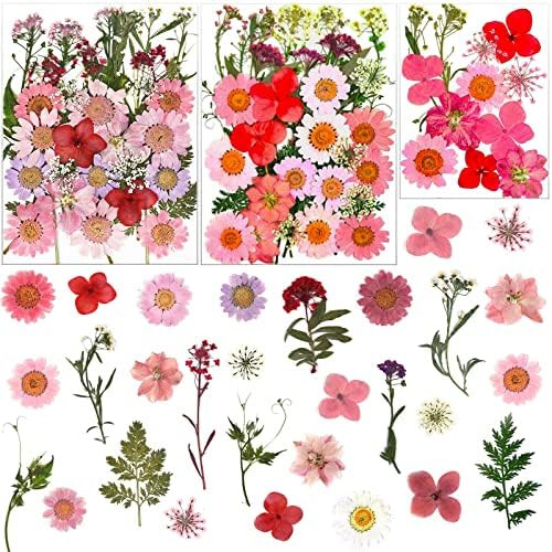 LUCISKY 83 Pcs Pink Real Dried Pressed Flowers Natural Leave Petals for DIY Resin Molds Candle Je... | Amazon (US)