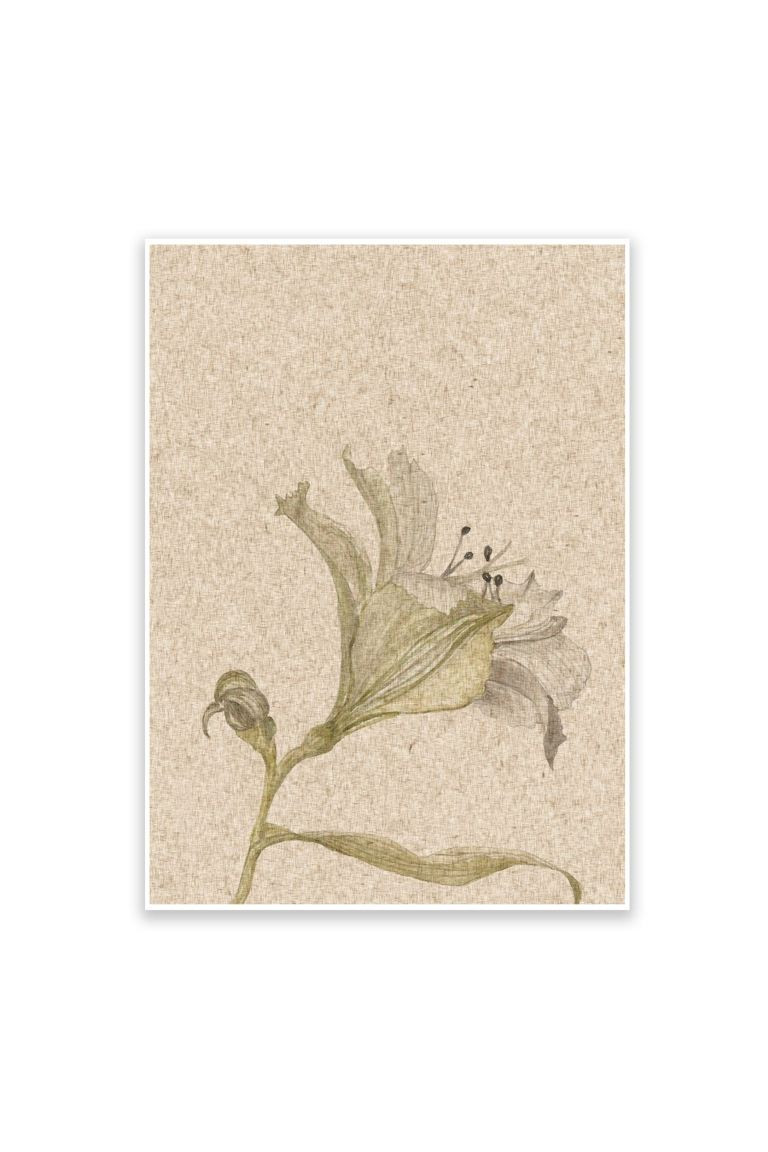 Vintage Floral Stem Art Print | H&M (UK, MY, IN, SG, PH, TW, HK)