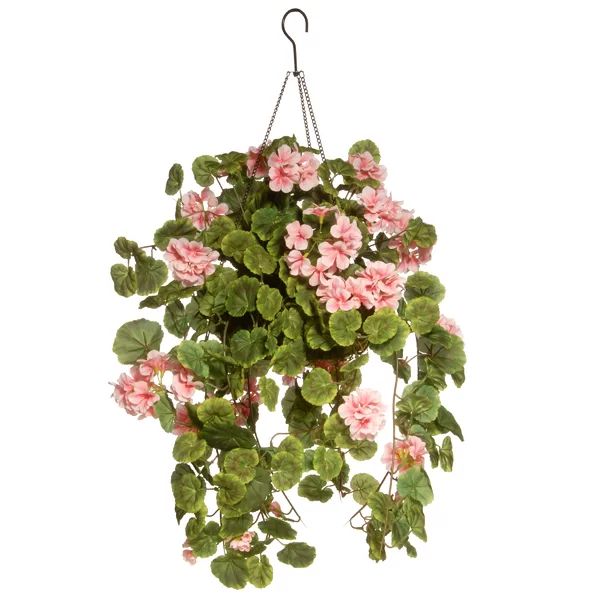 Hanging Flowering Plant in Basket | Wayfair North America