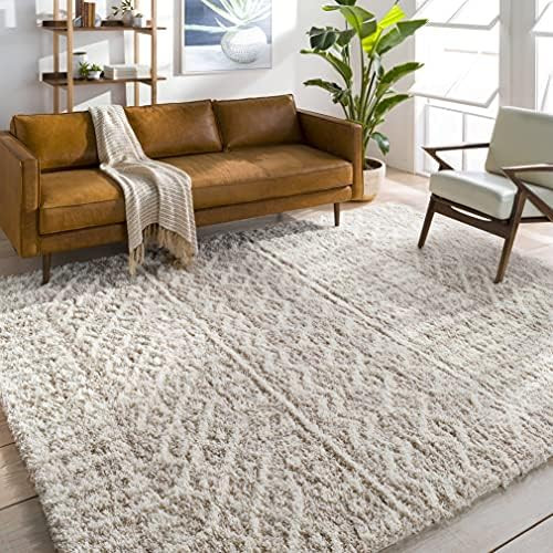 Artistic Weavers Hapsburg Beige Area Rug, 8'10" x 12' | Amazon (US)