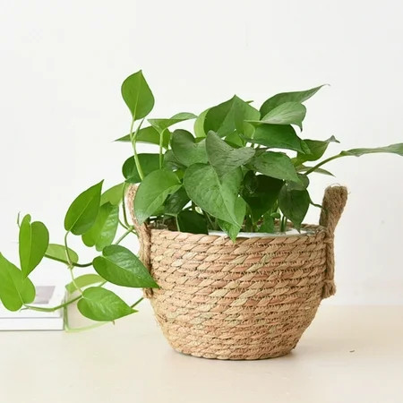 Seagrass Plant Basket Seaweed Basket for Plant Pot Hand Woven Belly Basket with Handles for Laundry  | Walmart (US)