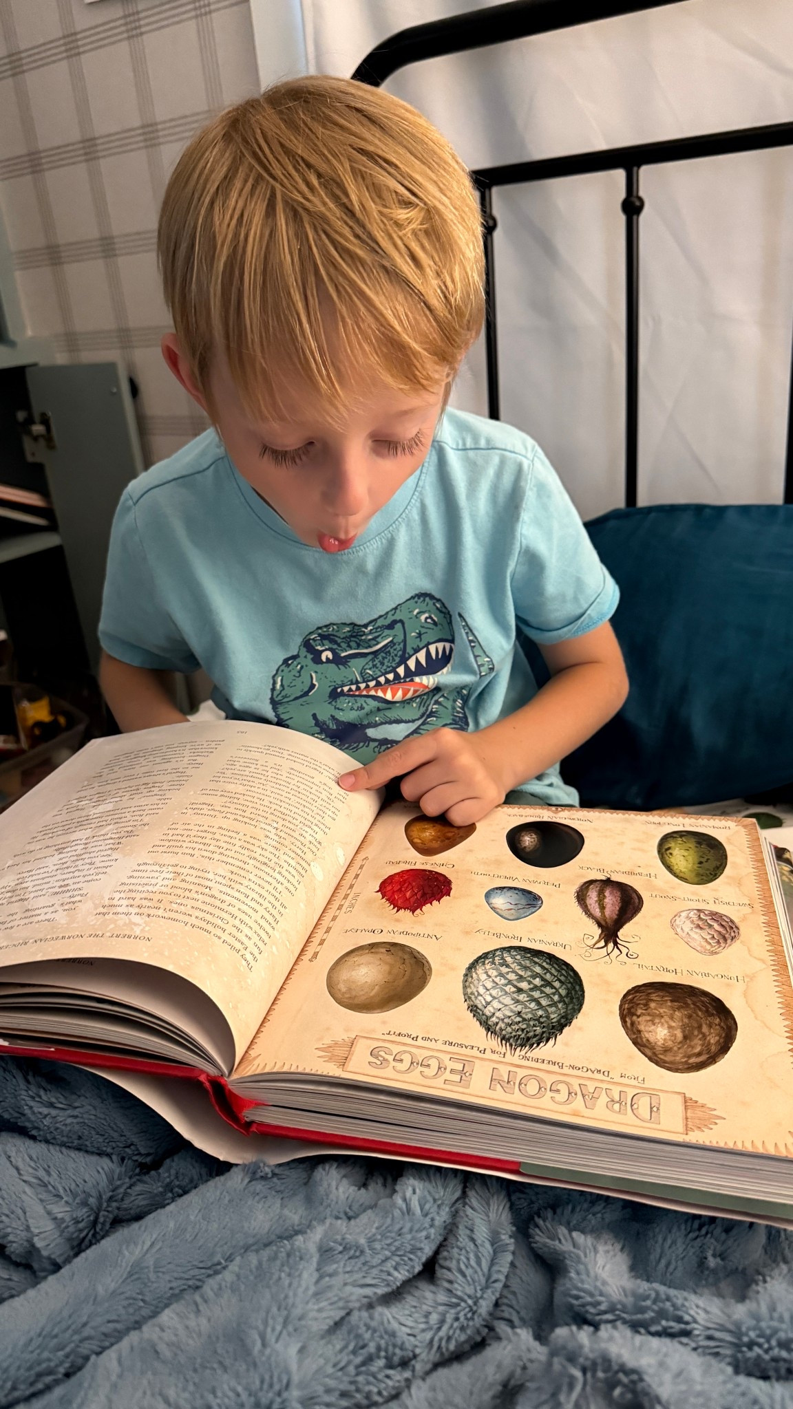 Sharing our love of Harry Potter with Elliott, starting  with these gorgeously illustrated versions. 

#LTKKids