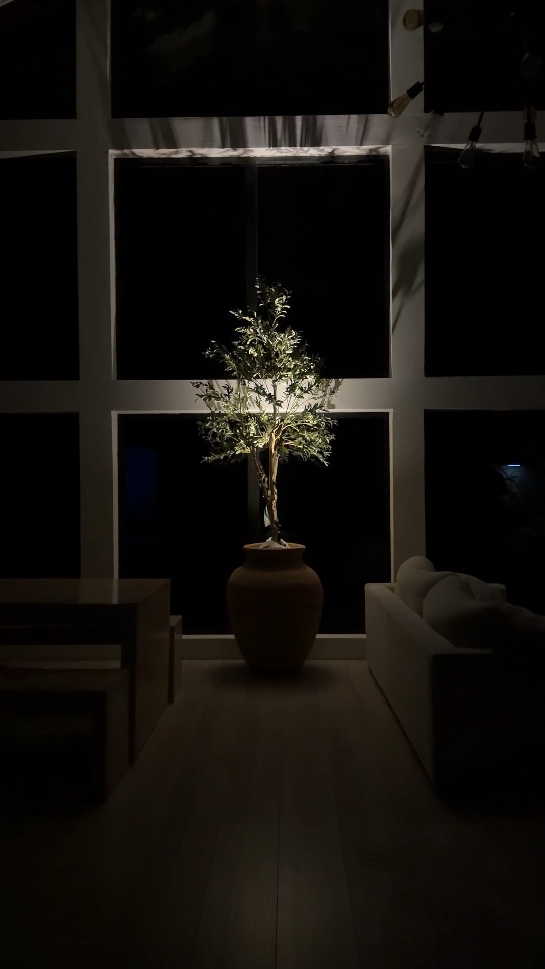 I love this tree so much i bought one for my home in Mexico. this spotlight adds so much ambiancee

#LTKSaleAlert #LTKHome