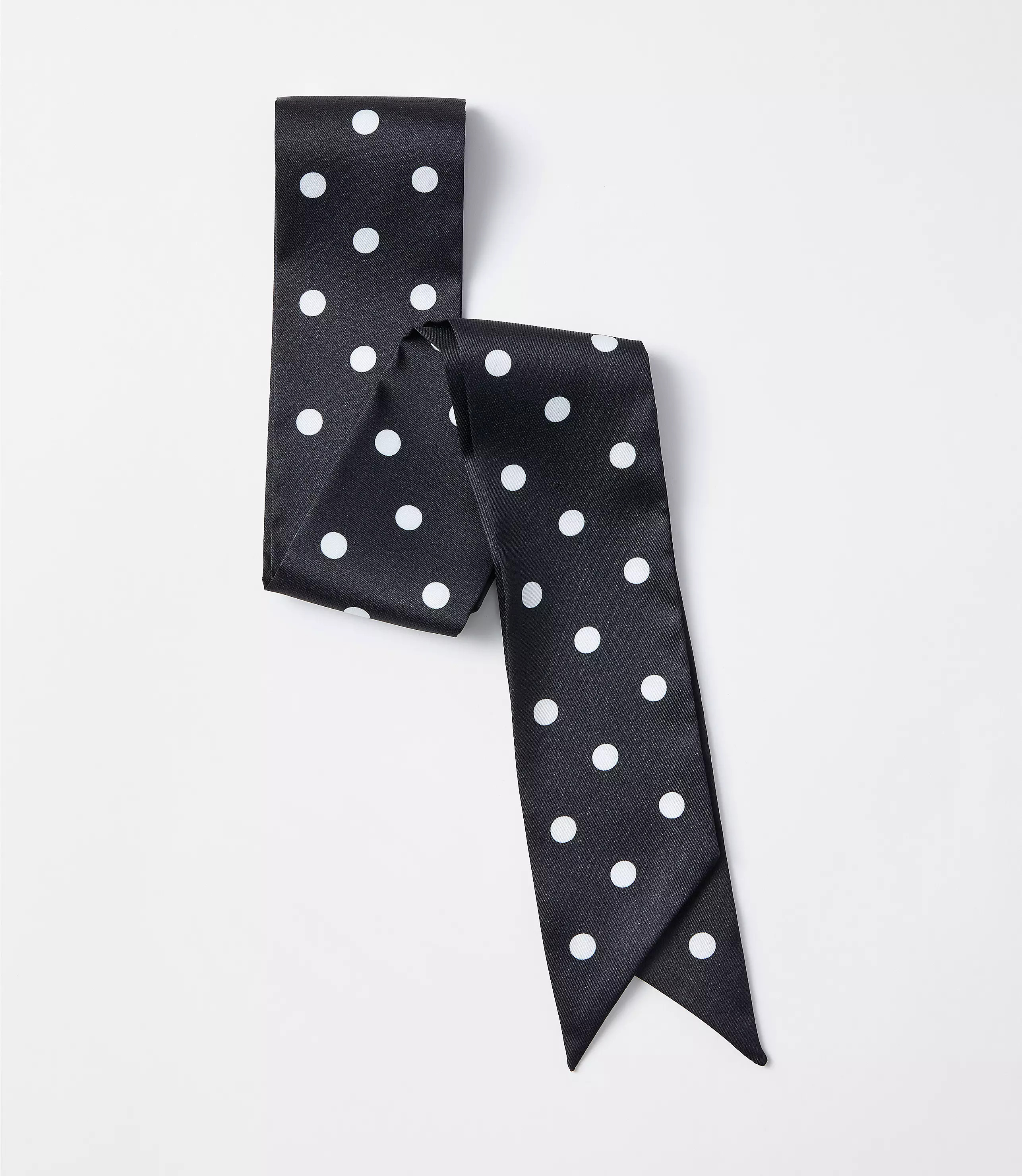 Dotted Skinny Scarf | LOFT