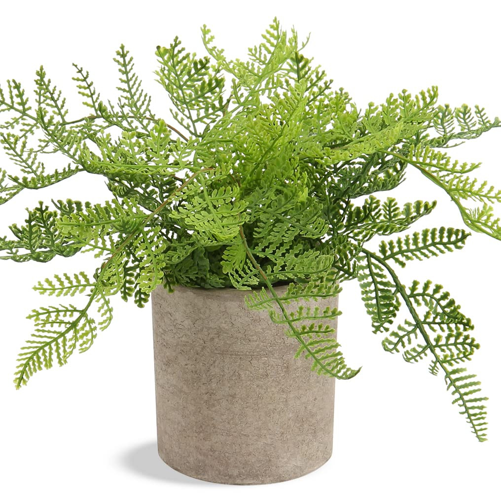 Hollyone Small Fake Plant Potted Plants Artificial Decor Silk Ferns Plant Faux Plants in Pots for... | Amazon (US)