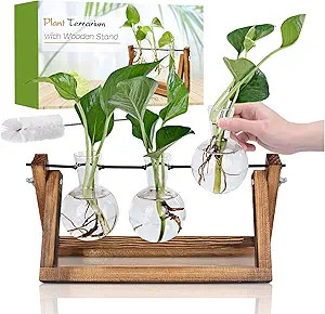 RENMXJ Plant Propagation Station, Gifts for Women, Home Office Garden Decor Planter(3 Bulb Vase) | Amazon (US)