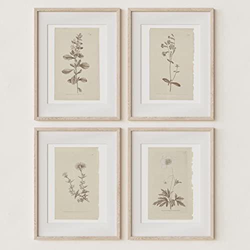 Wall Art Botanical Plant Prints | Vintage Flower Boho Minimalist Floral Artwork Decor for Bedroom... | Amazon (US)
