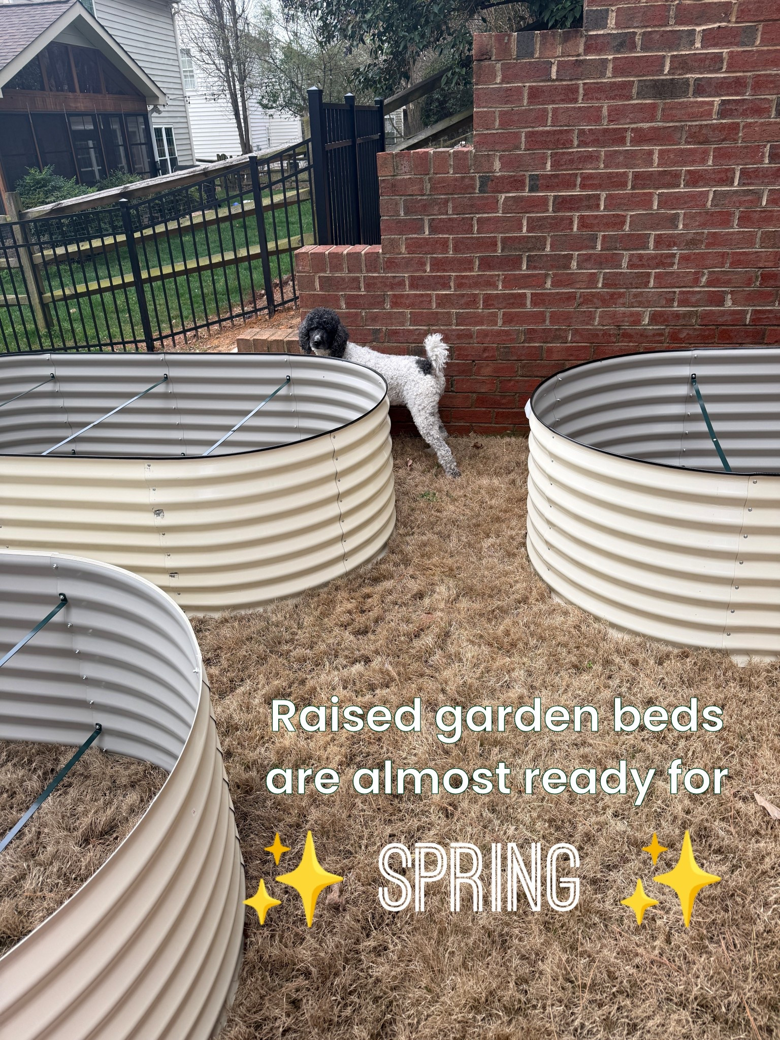 The raised garden beds are almost ready for spring! Follow along for my suburban gardening! 

#LTKspring #LTKspringtrends #LTKHome