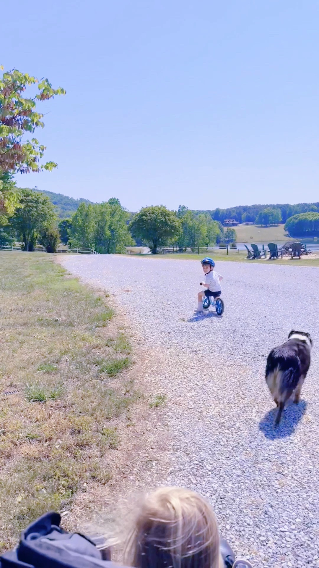 just the most stunning walking views right down our driveway that I’ll *never* get over 🪻🐴🌼🪿🌾

#LTKKids #LTKmomlife #LTKdayinmylife