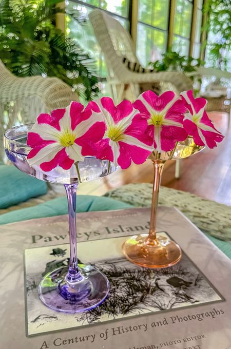 My favorite coupe glasses from Estelle Colored Glass! A wonderful idea for a Mother’s Day gift!
#ltkhome
#ltkgiftguide

#LTKSeasonal #LTKU #LTKwedding