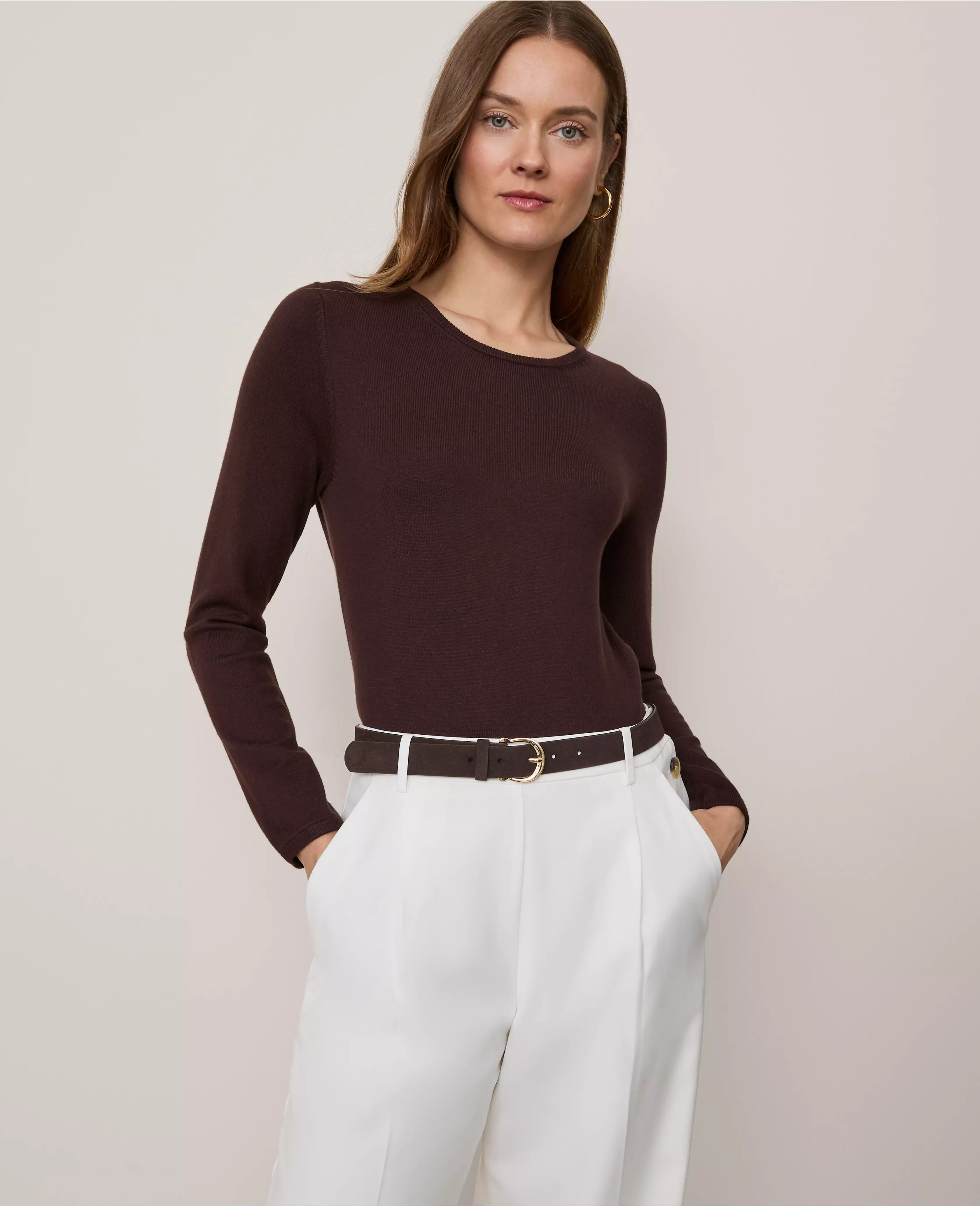 Essential Crew Neck Sweater | Ann Taylor