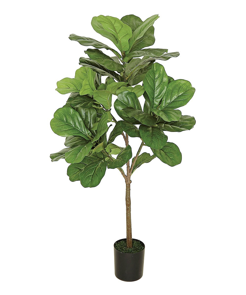 ES Essentials Floral GREEN - Green Fiddle-Leaf Fig Tree Topiary | Zulily