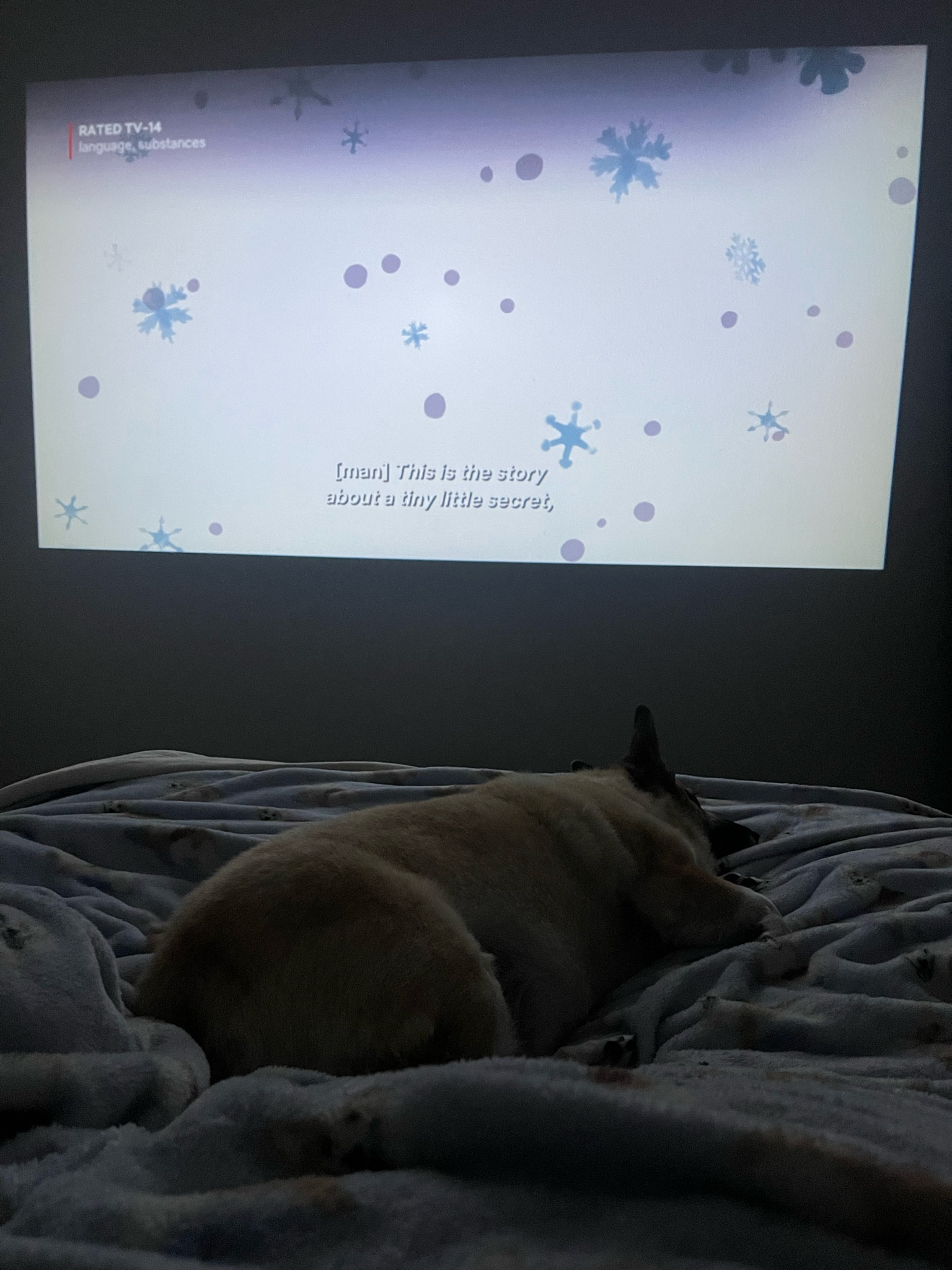 Tis the season for Christmas movies in bed! The quality of this projector is amazing! 

#LTKWatchNow #LTKGiftGuide #LTKHoliday