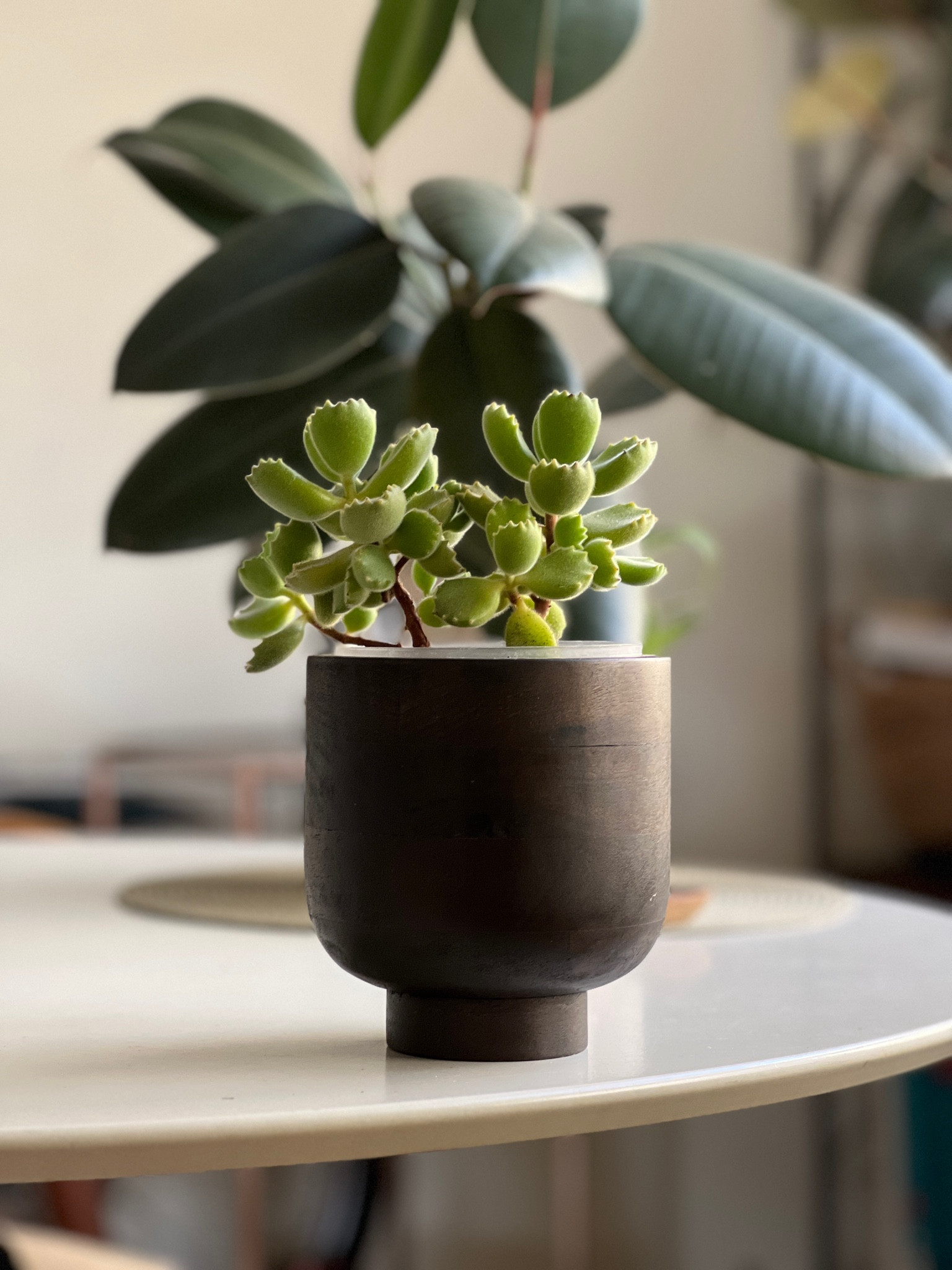 Wooden plant pots

#LTKstyletip #LTKhome #LTKGiftGuide